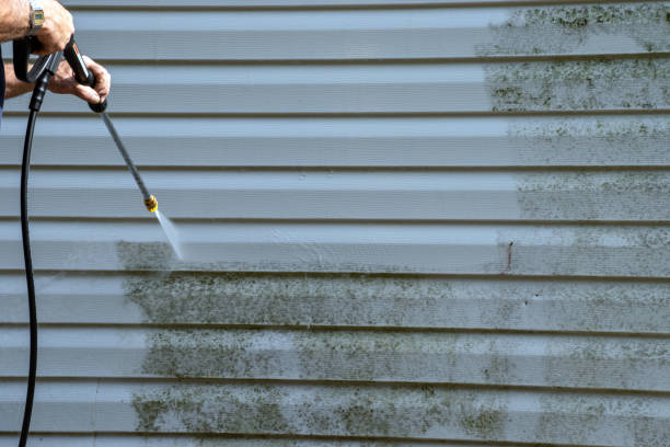 Best Residential Vinyl Siding Installation  in North Puyallup, WA