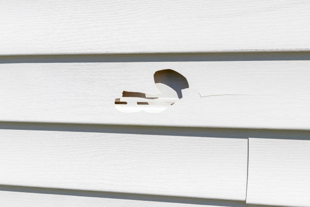 Best Composite Siding  in North Puyallup, WA