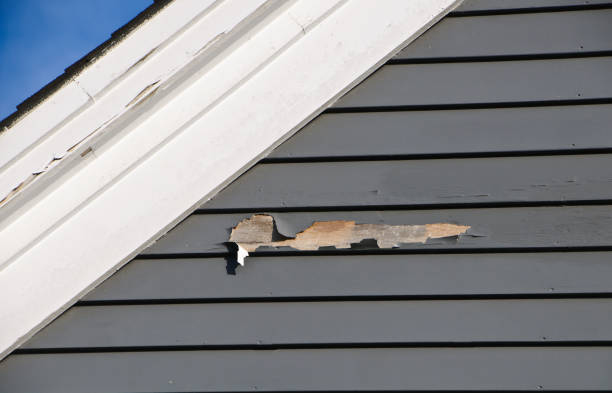 Best Siding for New Construction  in North Puyallup, WA